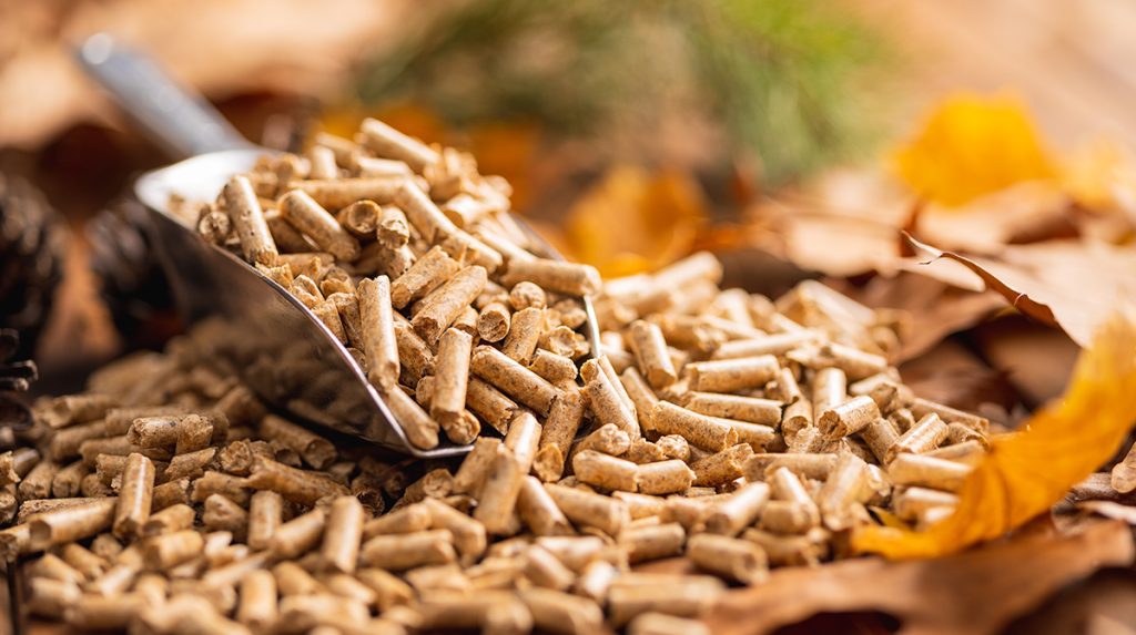 Nordpellets met schepje